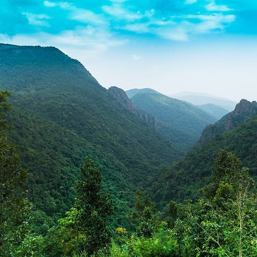 Odisha 1